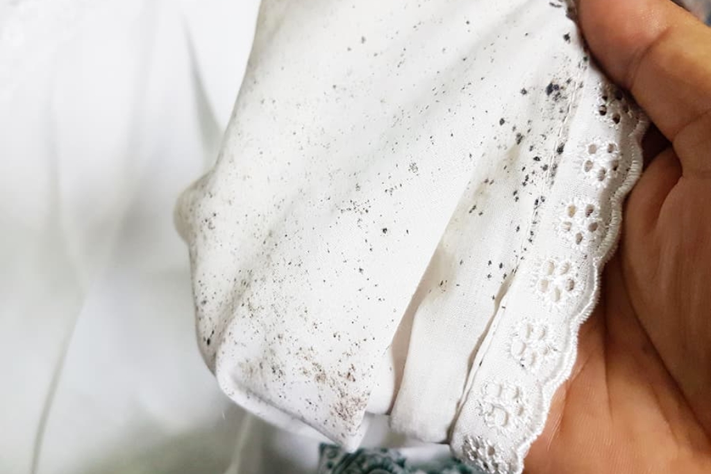 Aprenda a salvar roupas emboloradas, e acabe com esse problema que atinge as roupas no verão e inverno Aprenda a salvar roupas emboloradas, e acabe com esse problema que atinge as roupas no verão e inverno