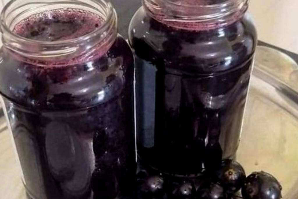 Geléia de jabuticaba, para deixar aquela torrada do seu café mais apetitosa Geléia de jabuticaba, para deixar aquela torrada do seu café mais apetitosa