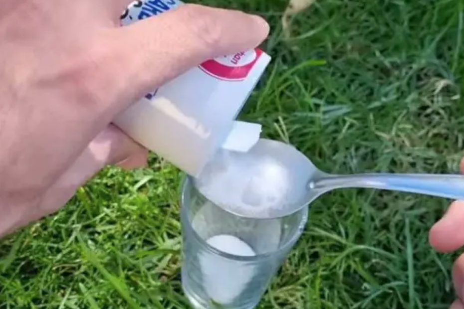 Aplique isso e você nunca mais as verá formigas em sua casa ou jardim
